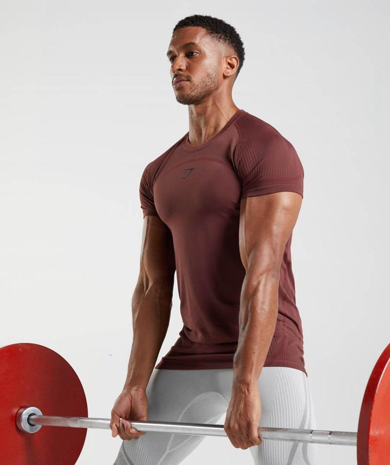 Gymshark 315 Seamless T-Shirts Férfi Bordó  Hungary |  FABMN-4382