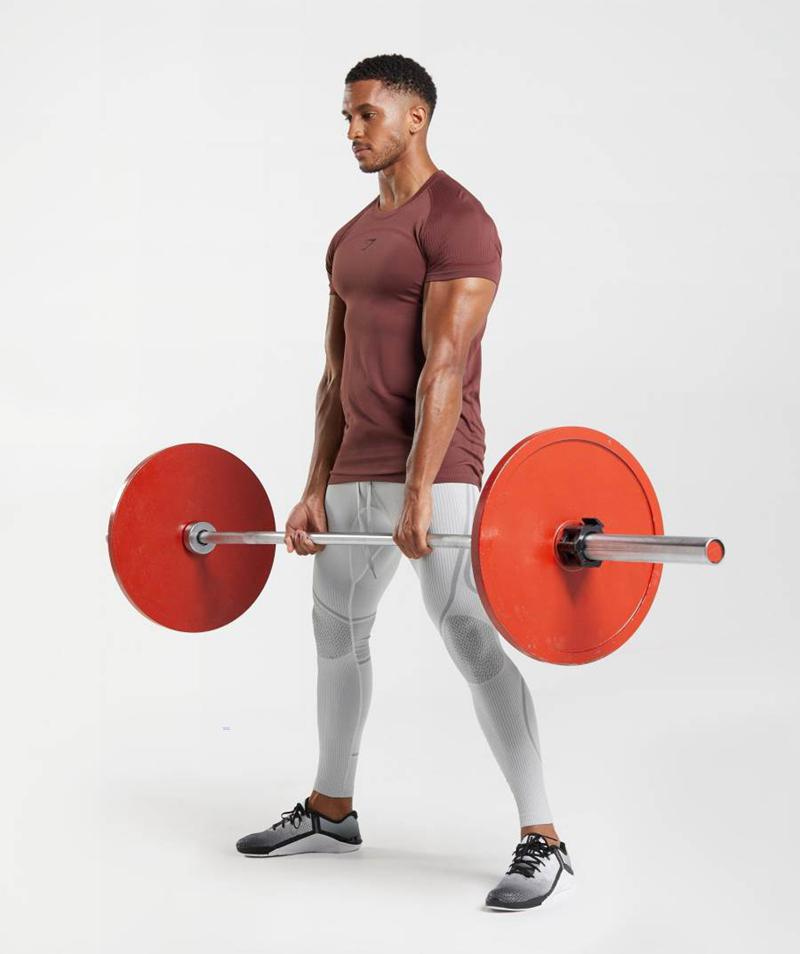 Gymshark 315 Seamless T-Shirts Férfi Bordó  Hungary |  FABMN-4382