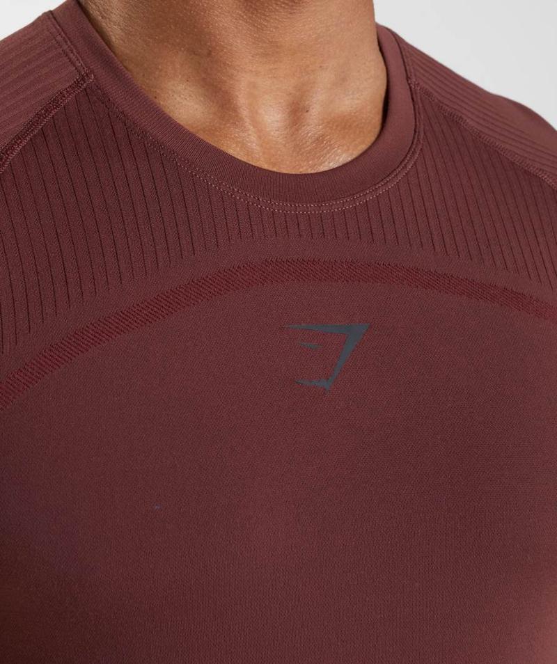 Gymshark 315 Seamless T-Shirts Férfi Bordó  Hungary |  FABMN-4382