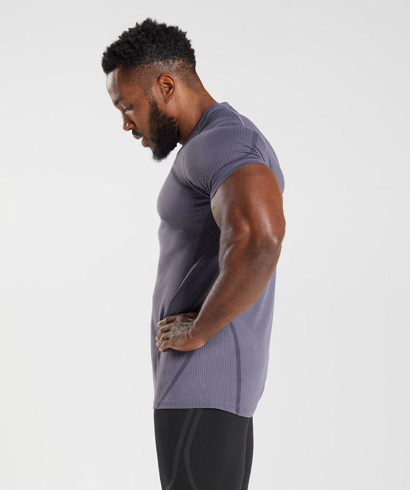 Gymshark 315 Seamless T-Shirts Férfi Lila  Hungary |  LSMNT-6901