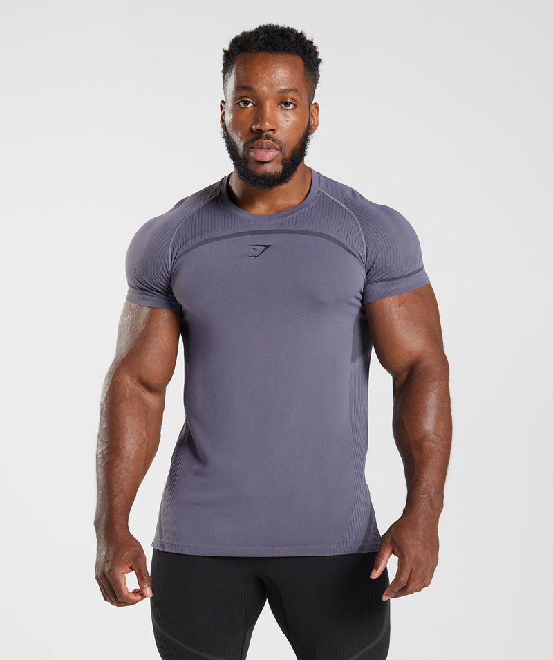 Gymshark 315 Seamless T-Shirts Férfi Lila  Hungary |  LSMNT-6901