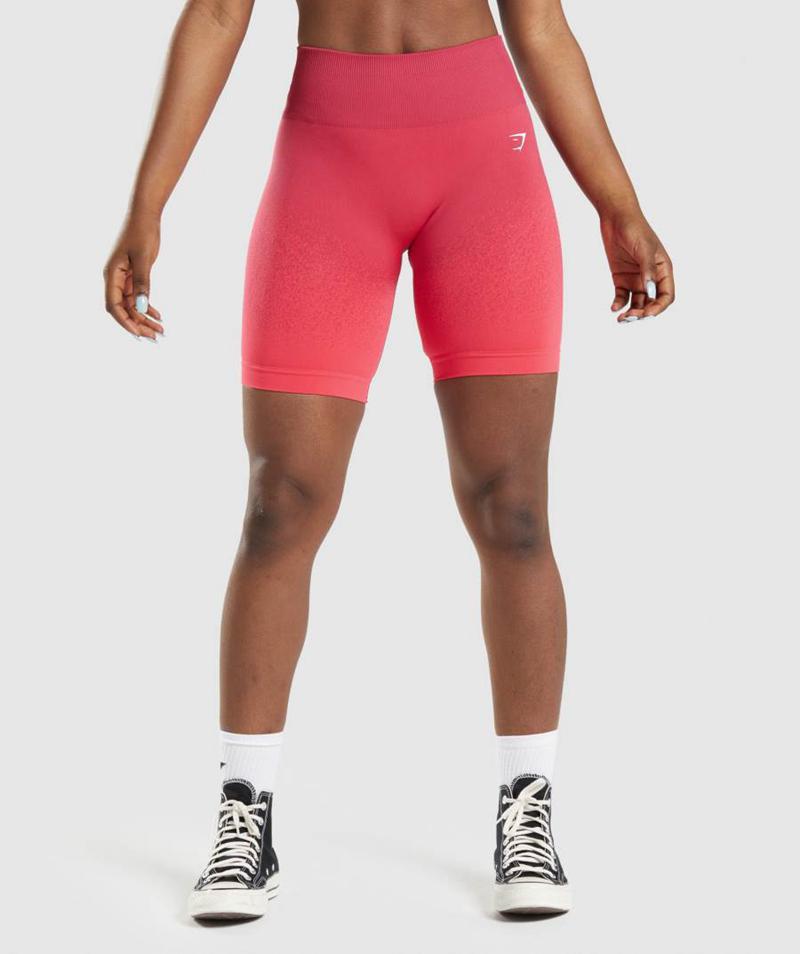 Gymshark Adapt Ombre Seamless Cycling Rövidnadrág Női Piros Rózsaszín  Hungary |  FWVGC-6347