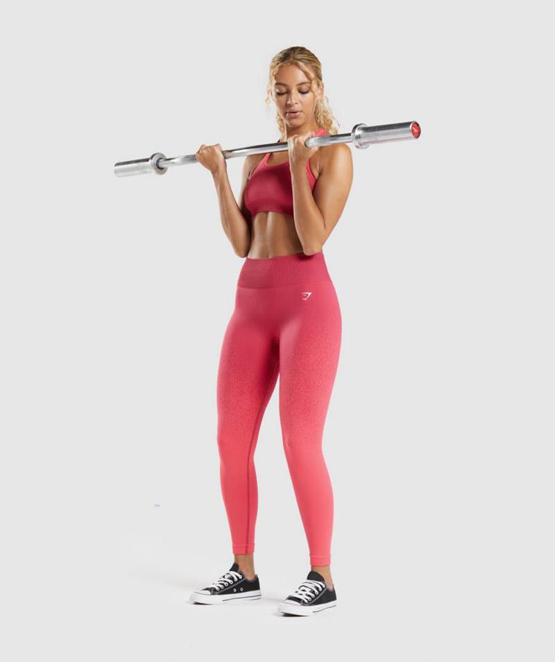 Gymshark Adapt Ombre Seamless Leggings Női Piros Rózsaszín  Hungary |  VIZYG-7204