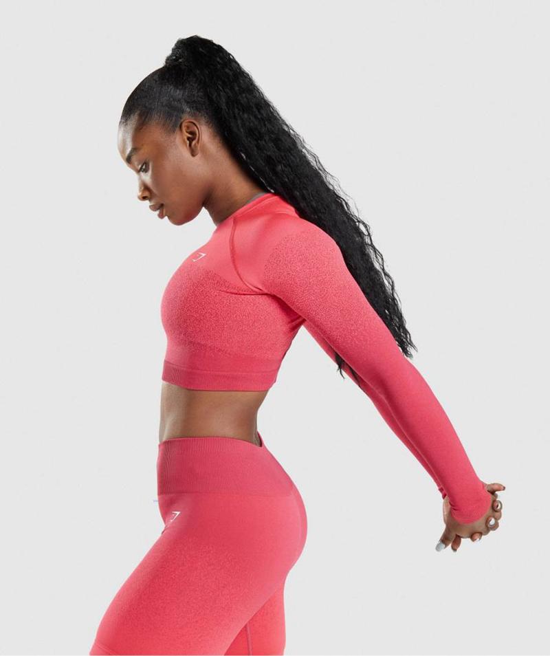 Gymshark Adapt Ombre Seamless Long Sleeve Vágott Felsők Női Piros Rózsaszín  Hungary |  FXKWG-4572