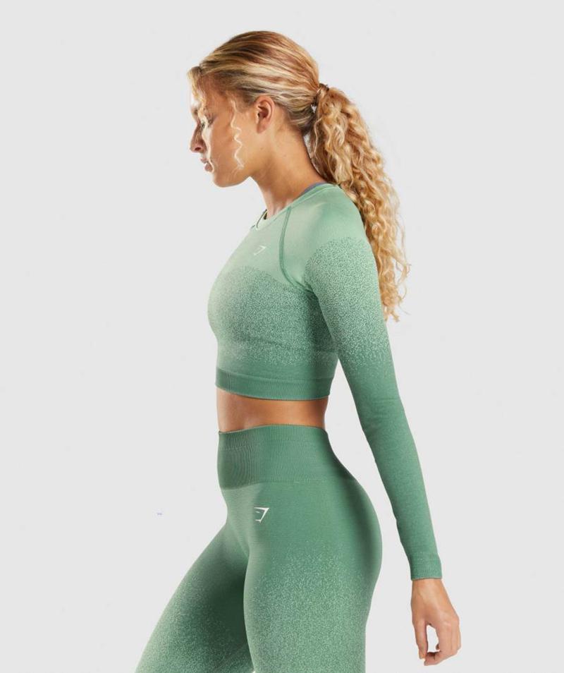 Gymshark Adapt Ombre Seamless Long Sleeve Vágott Felsők Női Zöld Világos Zöld  Hungary |  NUSZG-1930