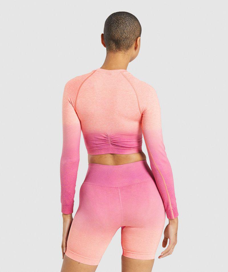 Gymshark Adapt Ombre Seamless Long Sleeve Crop Felsők Női Rózsaszín  Hungary |  UKQNC-3925