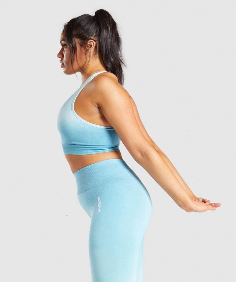 Gymshark Adapt Ombre Seamless Sportmelltartó Női Világos Kék Világos Kék  Hungary |  GZVFT-3650