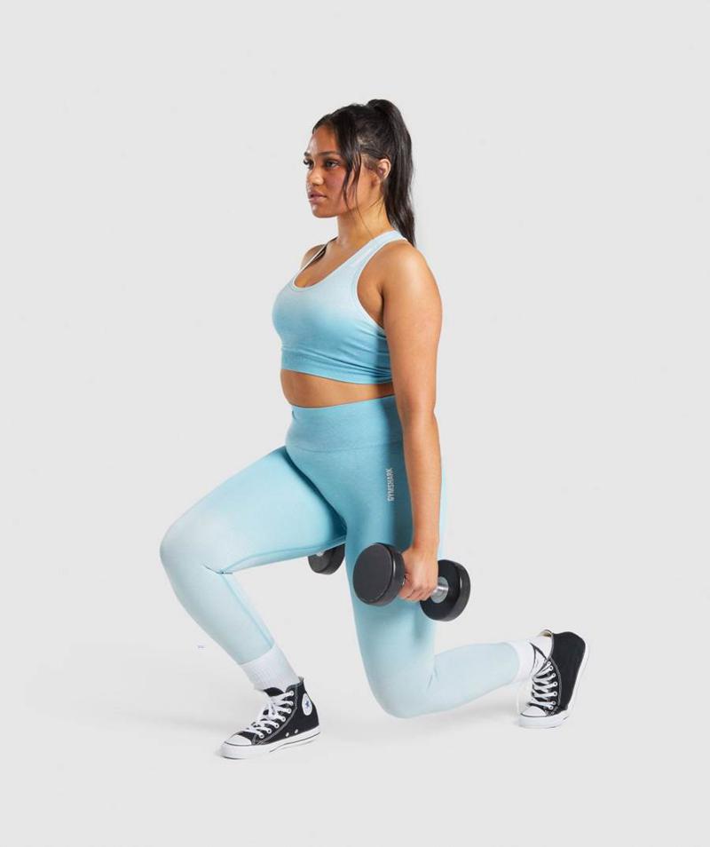 Gymshark Adapt Ombre Seamless Sportmelltartó Női Világos Kék Világos Kék  Hungary |  GZVFT-3650