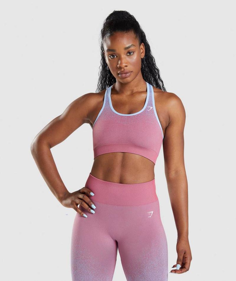 Gymshark Adapt Ombre Seamless Sportmelltartó Női Rózsaszín Rózsaszín Világos Kék  Hungary |  JBKNW-5734