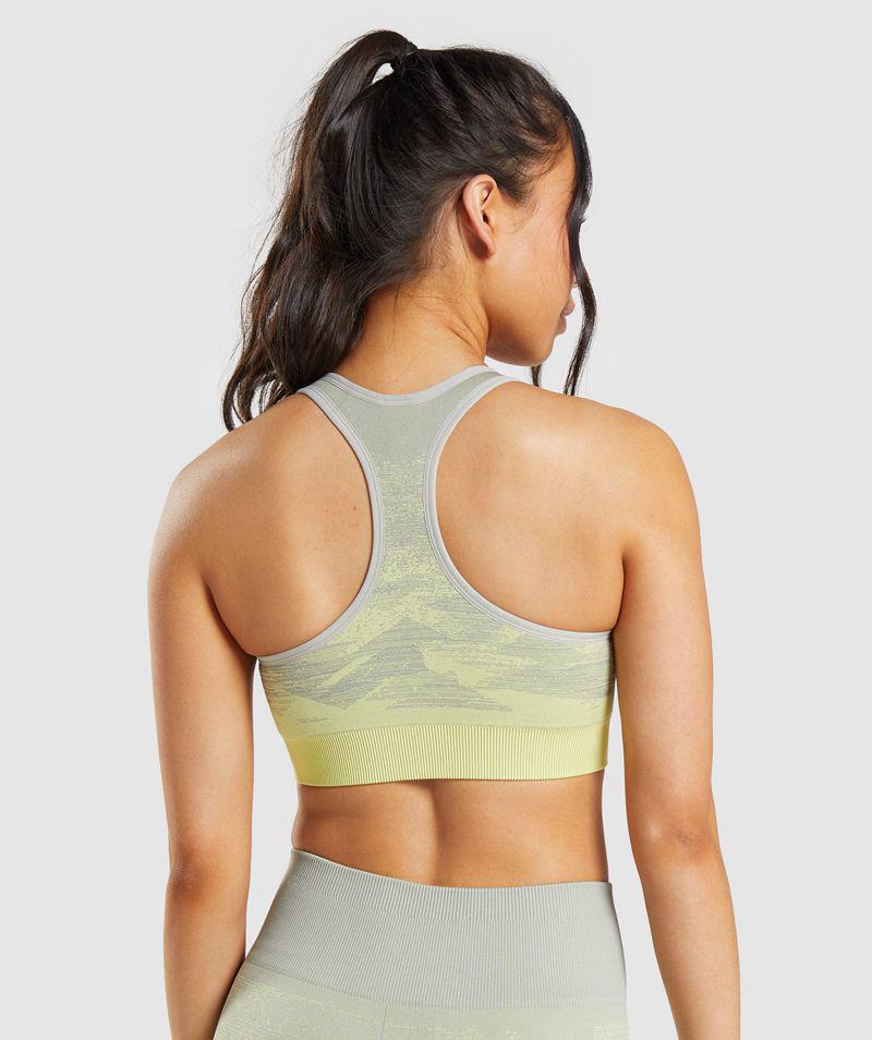 Gymshark Adapt Ombre Seamless Sportmelltartó Női Szürke  Hungary |  WPFGU-2307