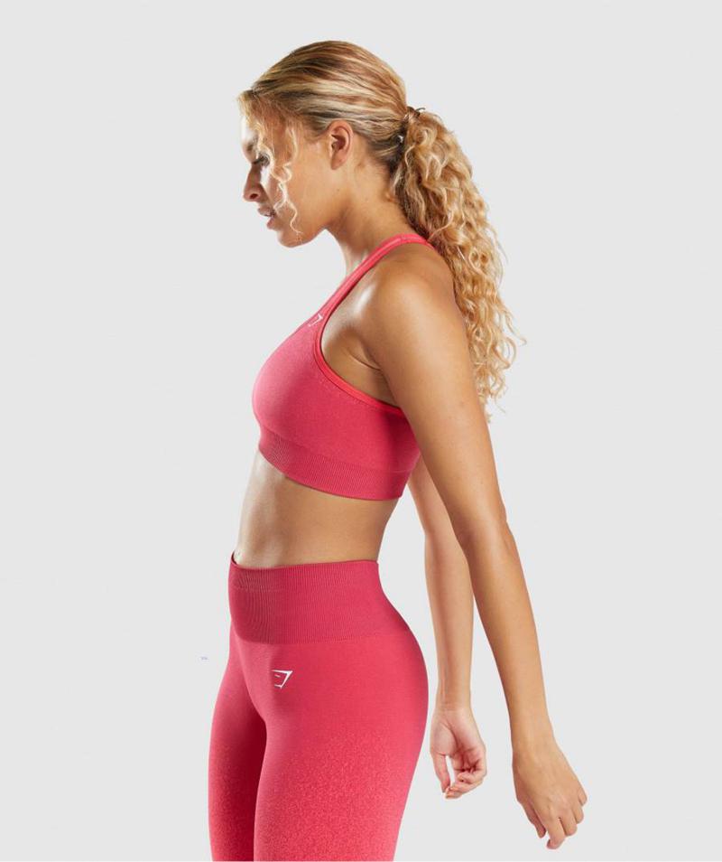 Gymshark Adapt Ombre Seamless Sportmelltartó Női Piros Rózsaszín  Hungary |  ZWMES-0429