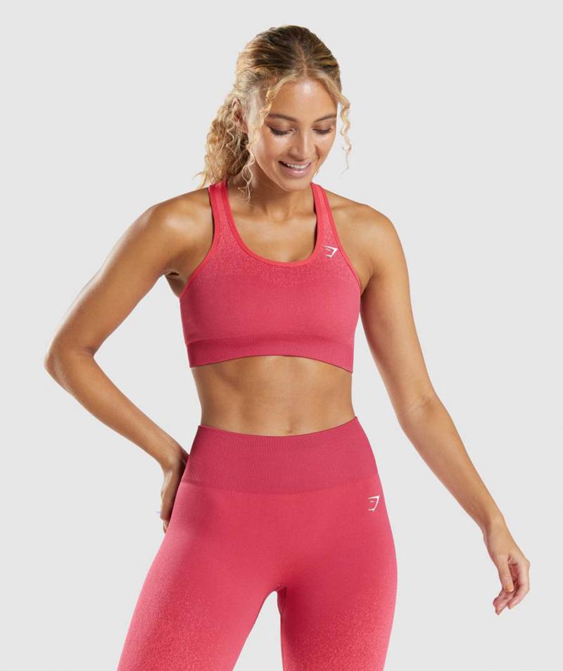 Gymshark Adapt Ombre Seamless Sportmelltartó Női Piros Rózsaszín  Hungary |  ZWMES-0429