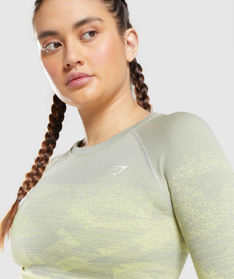 Gymshark Adapt Ombre Vágott Felsők Női Szürke  Hungary |  HLFMO-5846