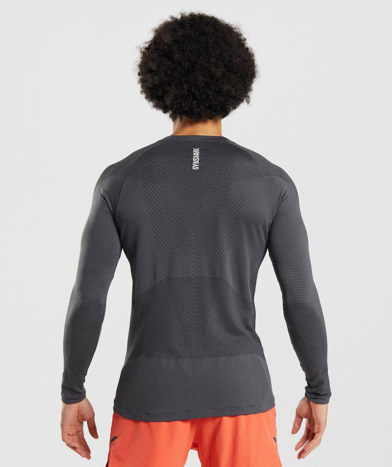 Gymshark Apex Seamless Long Sleeve T-Shirts Férfi Szürke  Hungary |  AVERD-8432