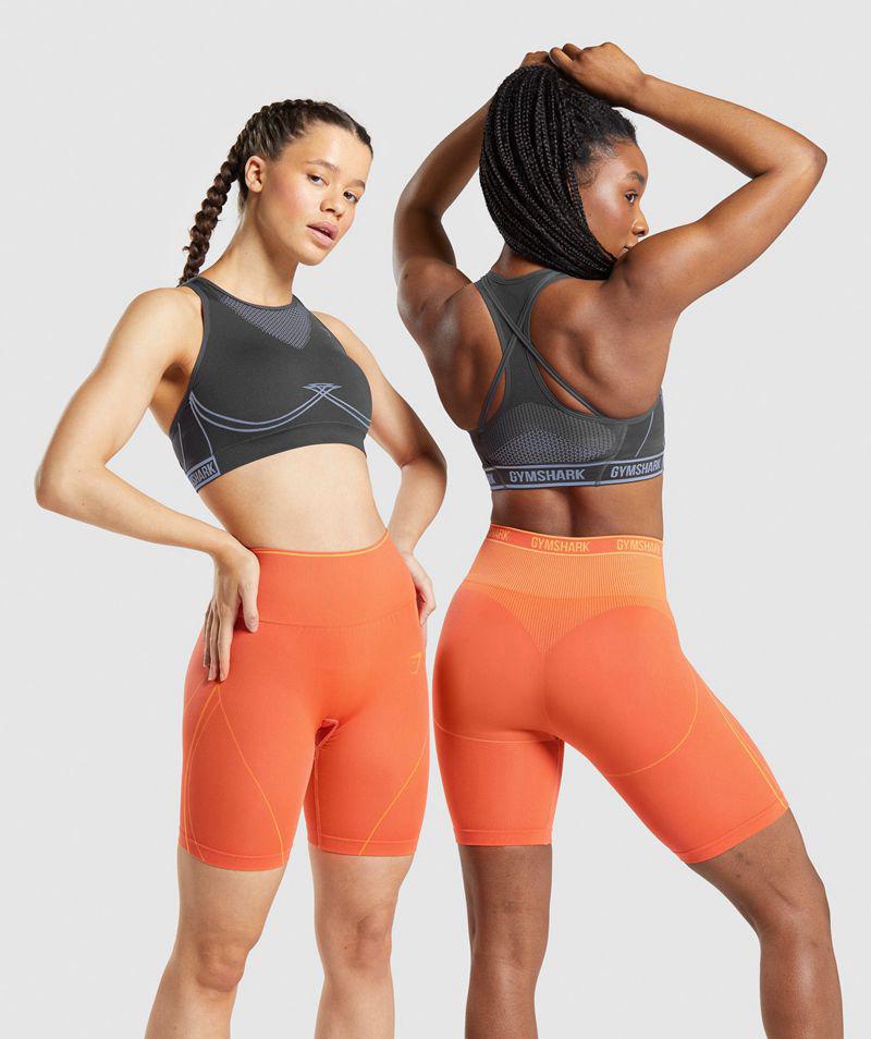 Gymshark Apex Seamless Sportmelltartó Női Szürke  Hungary |  RWIGJ-7853