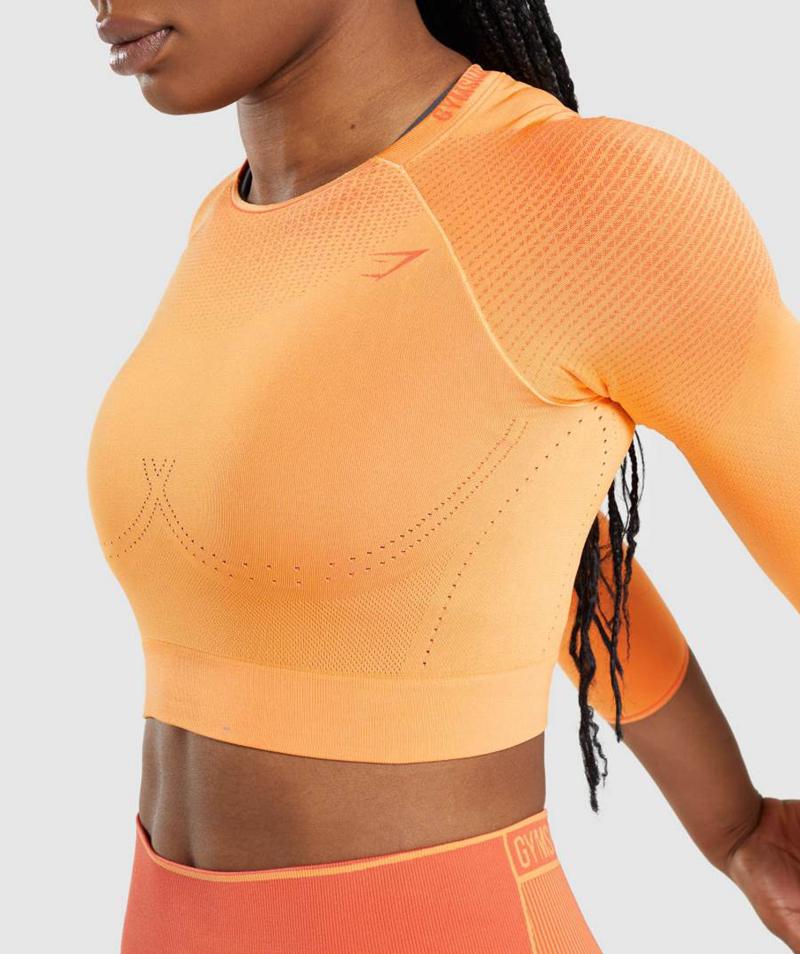 Gymshark Apex Seamless Vágott Felsők Női Sárgabarack Narancssárga Narancssárga  Hungary |  VTMFG-0326