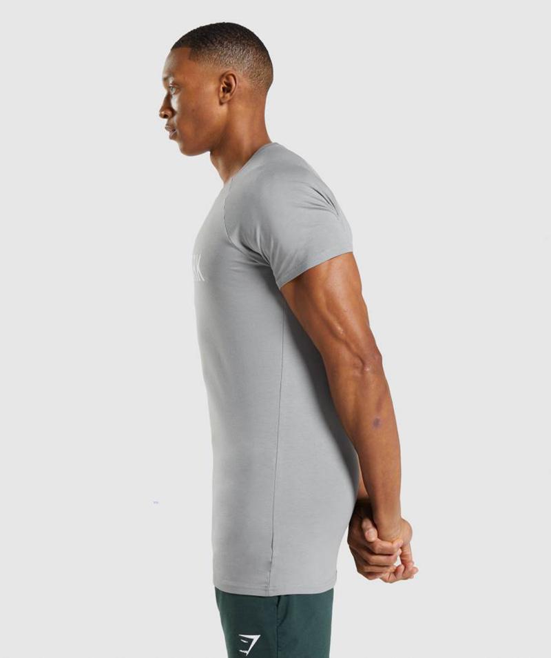 Gymshark Apollo T-Shirts Férfi Szürke  Hungary |  BVZLQ-4902