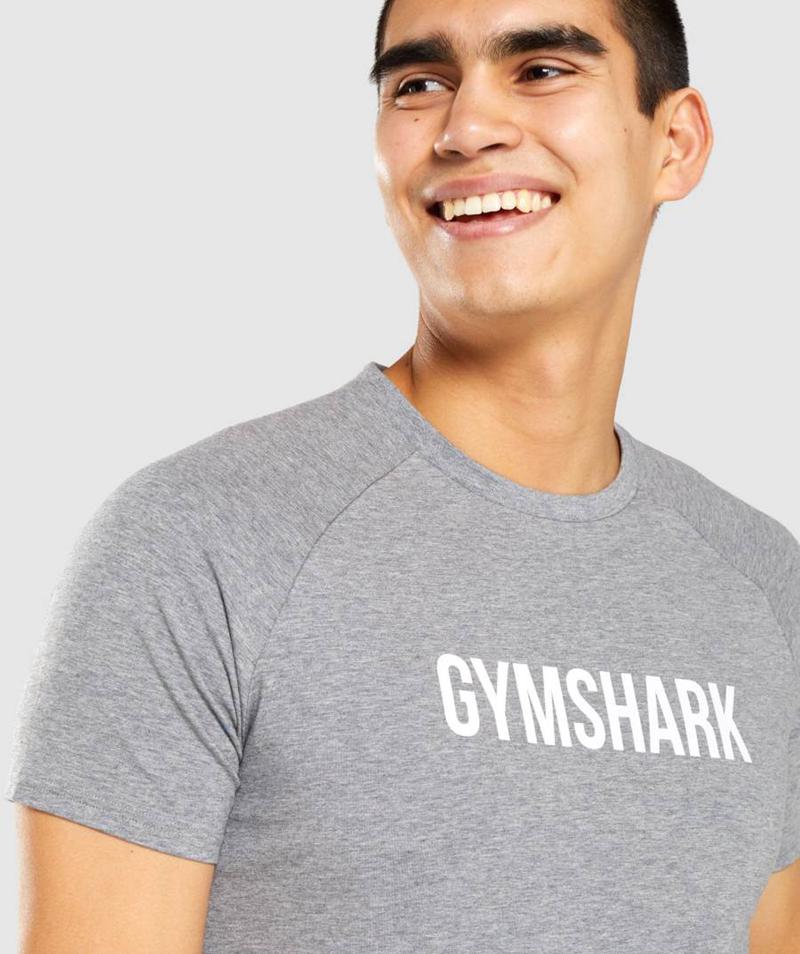 Gymshark Apollo T-Shirts Férfi Szürke  Hungary |  NCXKU-0269