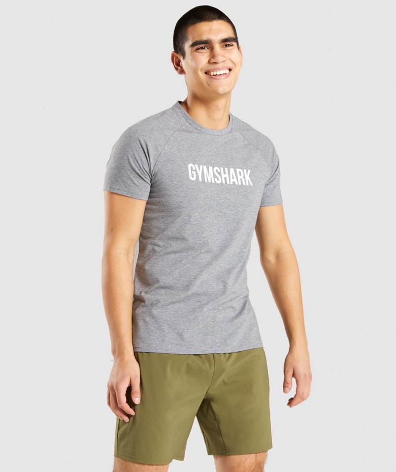 Gymshark Apollo T-Shirts Férfi Szürke  Hungary |  NCXKU-0269