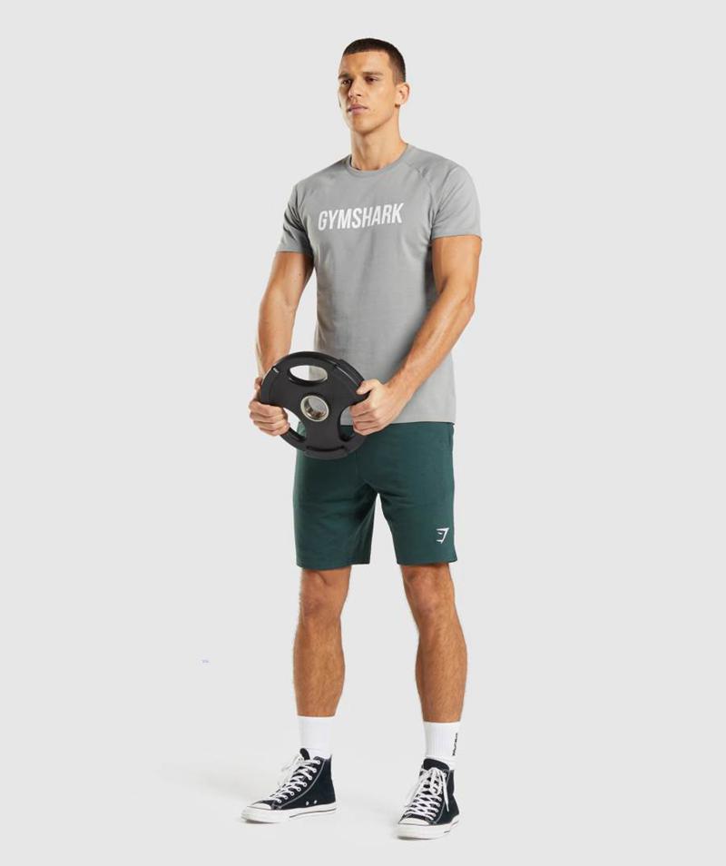 Gymshark Apollo T-Shirts Férfi Szürke  Hungary |  RPSOJ-7439