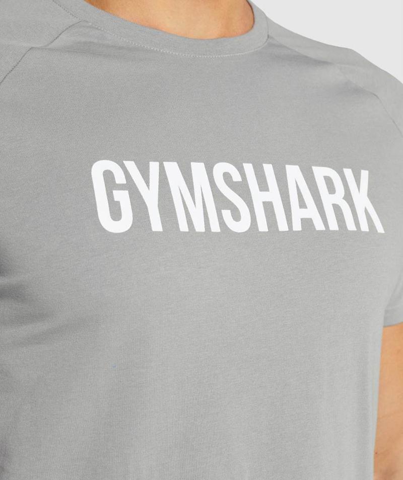 Gymshark Apollo T-Shirts Férfi Szürke  Hungary |  RPSOJ-7439