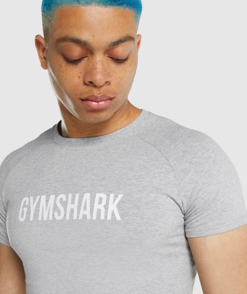 Gymshark Apollo T-Shirts Férfi Világos Szürke  Hungary |  QWCAB-7086