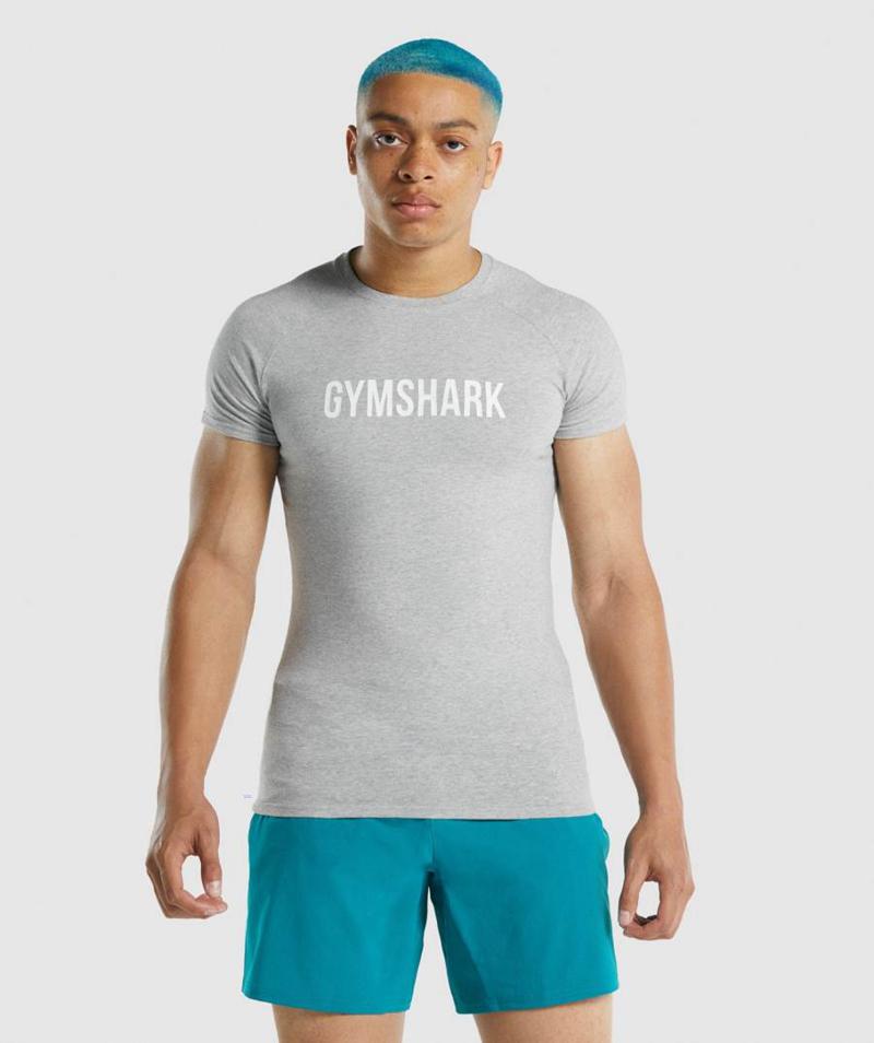 Gymshark Apollo T-Shirts Férfi Világos Szürke  Hungary |  QWCAB-7086