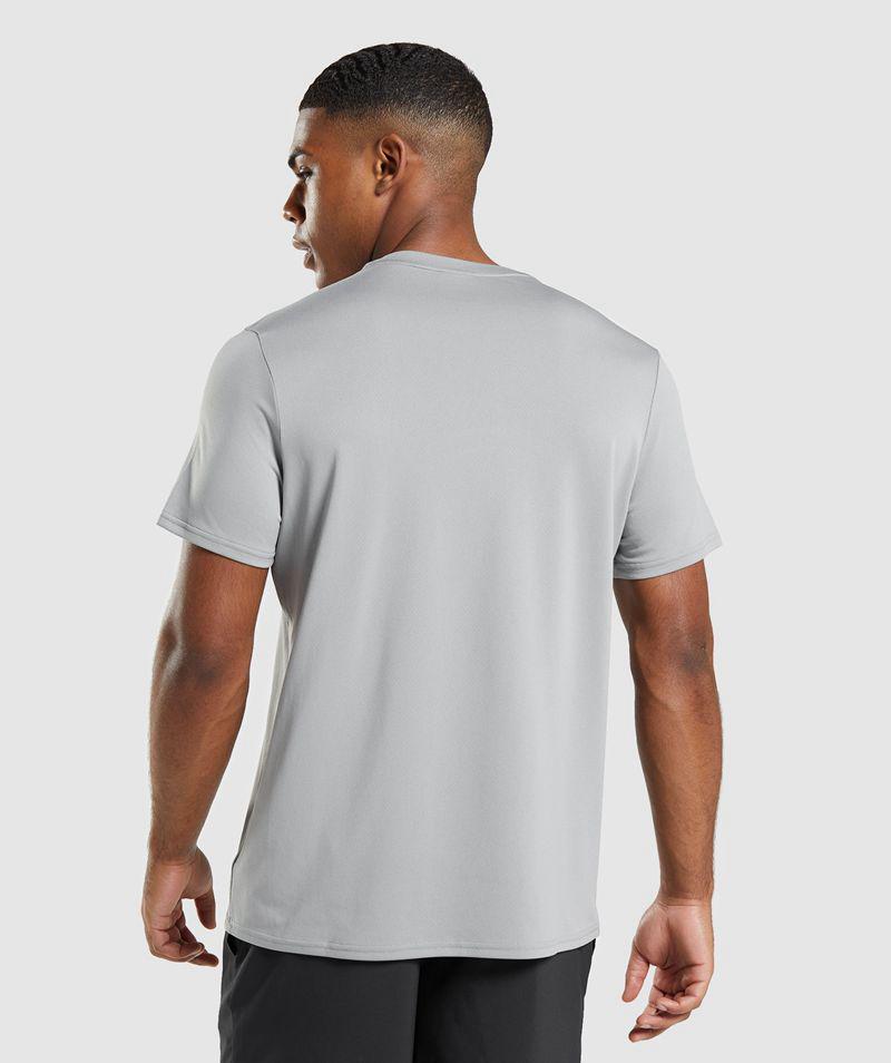 Gymshark Arrival Regular Fit T-Shirts Férfi Szürke  Hungary |  XZUTN-7025