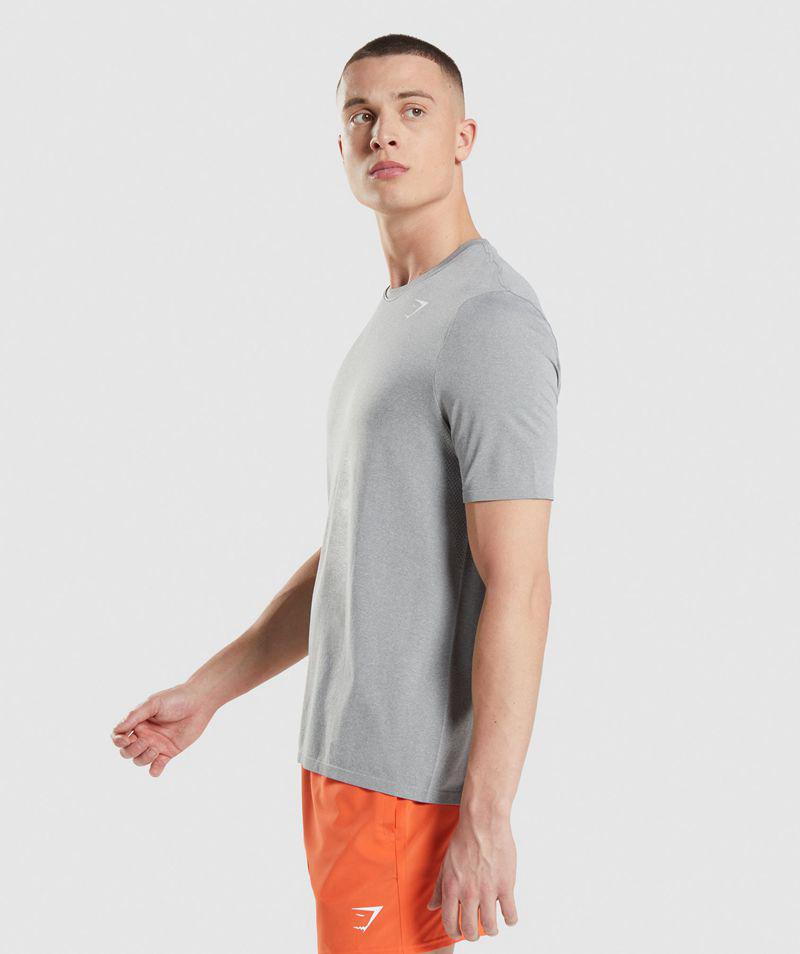 Gymshark Arrival Seamless T-Shirts Férfi Szürke  Hungary |  RWNZQ-3675