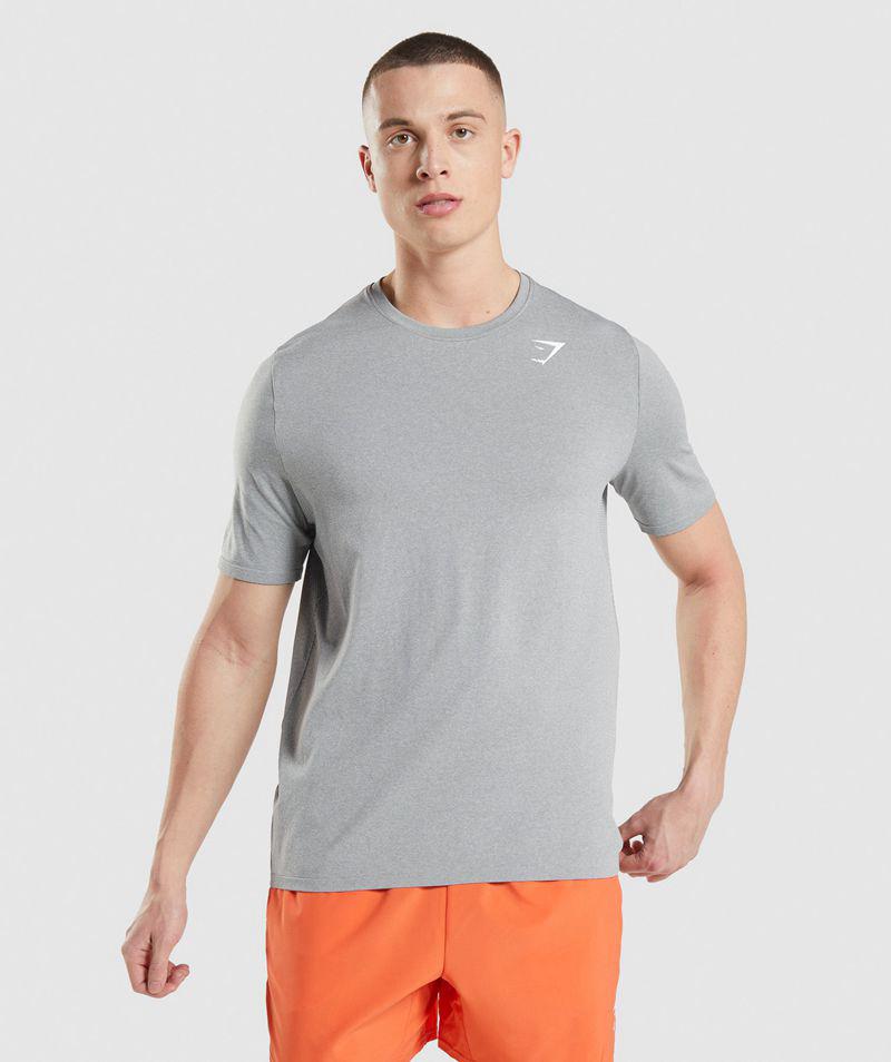 Gymshark Arrival Seamless T-Shirts Férfi Szürke  Hungary |  RWNZQ-3675