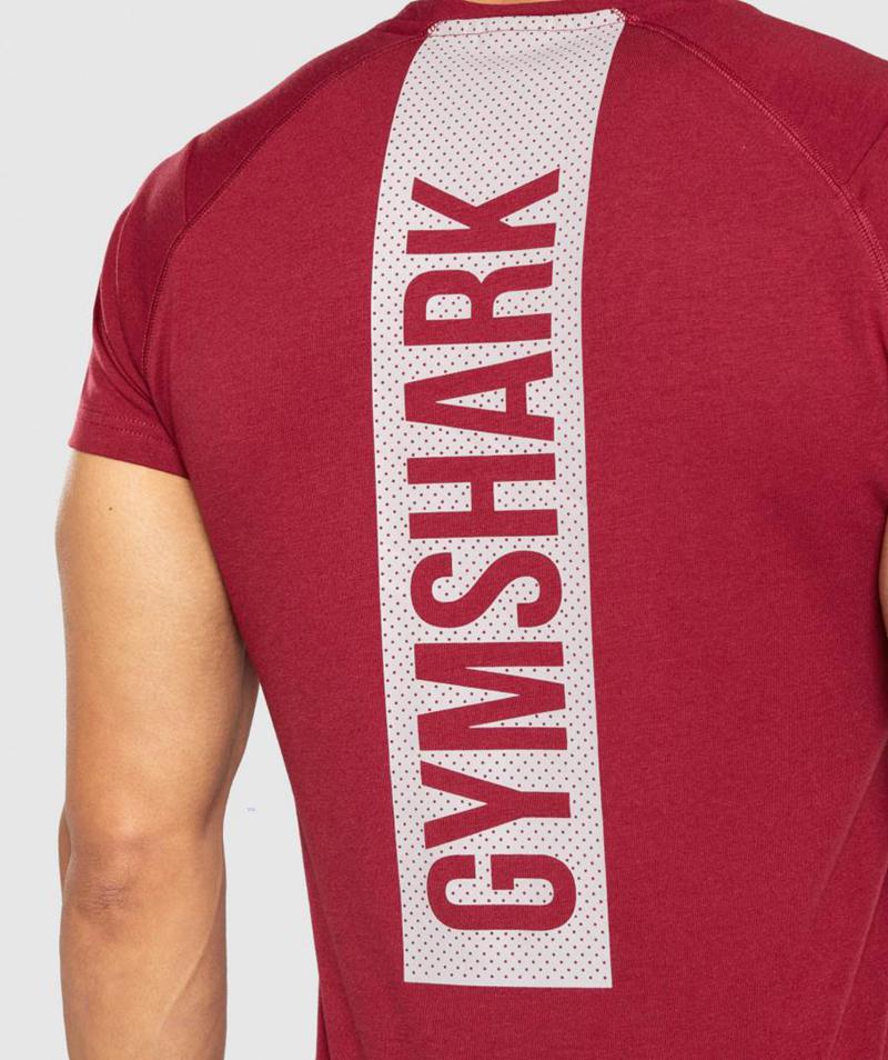 Gymshark Bold T-Shirts Férfi Bordó  Hungary |  GBACI-6148