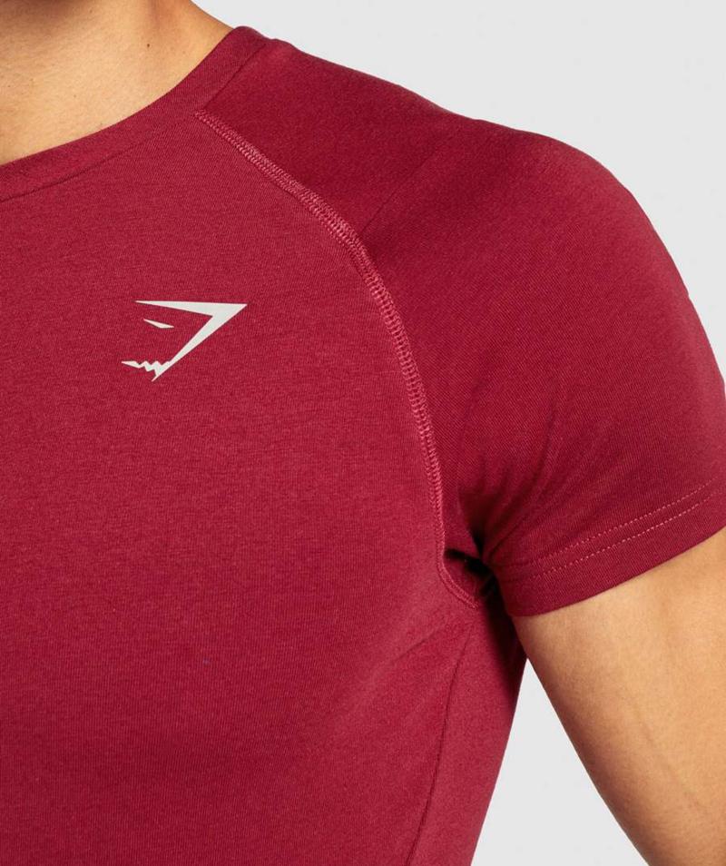 Gymshark Bold T-Shirts Férfi Bordó  Hungary |  GBACI-6148