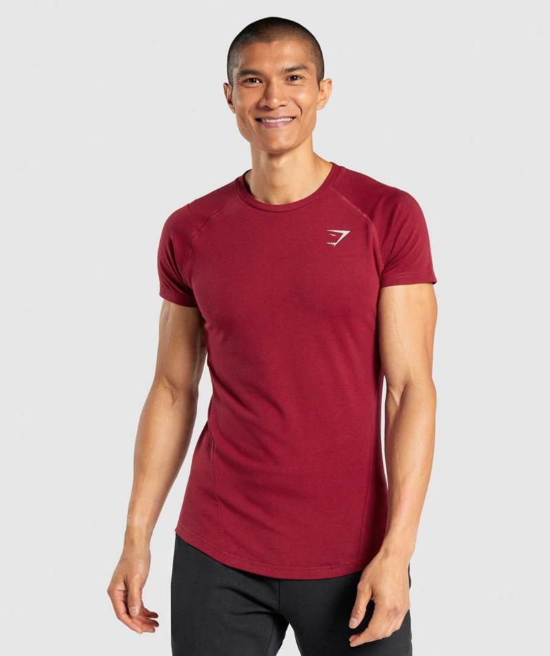 Gymshark Bold T-Shirts Férfi Bordó  Hungary |  GBACI-6148