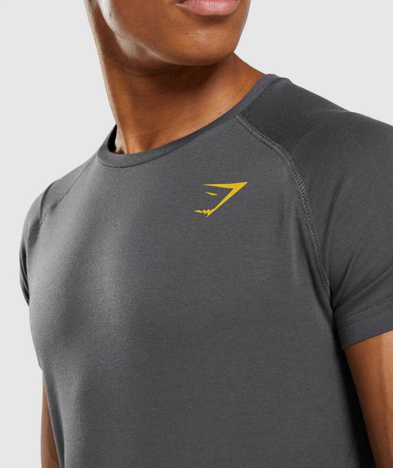 Gymshark Bold T-Shirts Férfi Fekete Szürke  Hungary |  KFZQM-2083