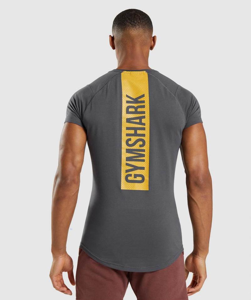 Gymshark Bold T-Shirts Férfi Fekete Szürke  Hungary |  KFZQM-2083