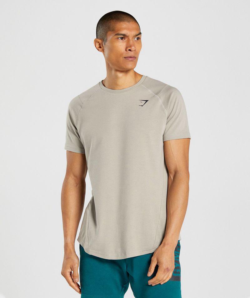 Gymshark Bold T-Shirts Férfi Szürke  Hungary |  FLDYJ-9015