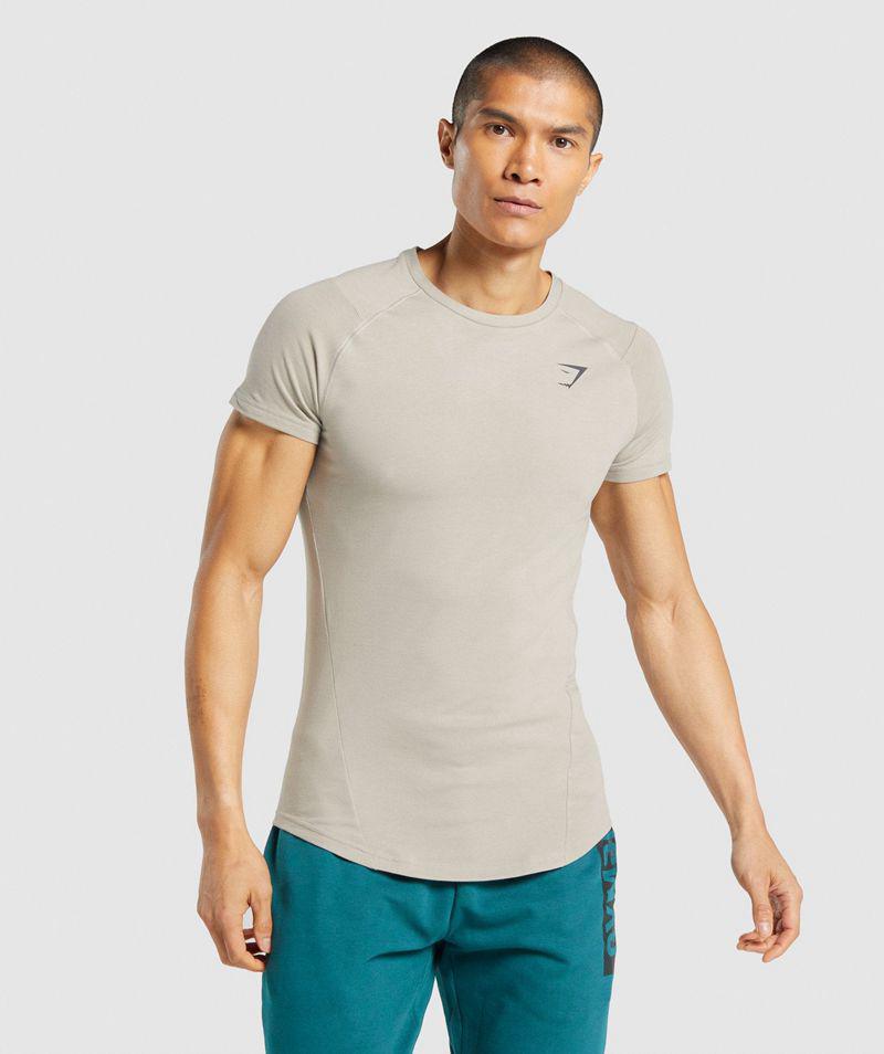 Gymshark Bold T-Shirts Férfi Szürke  Hungary |  VCKQB-5168