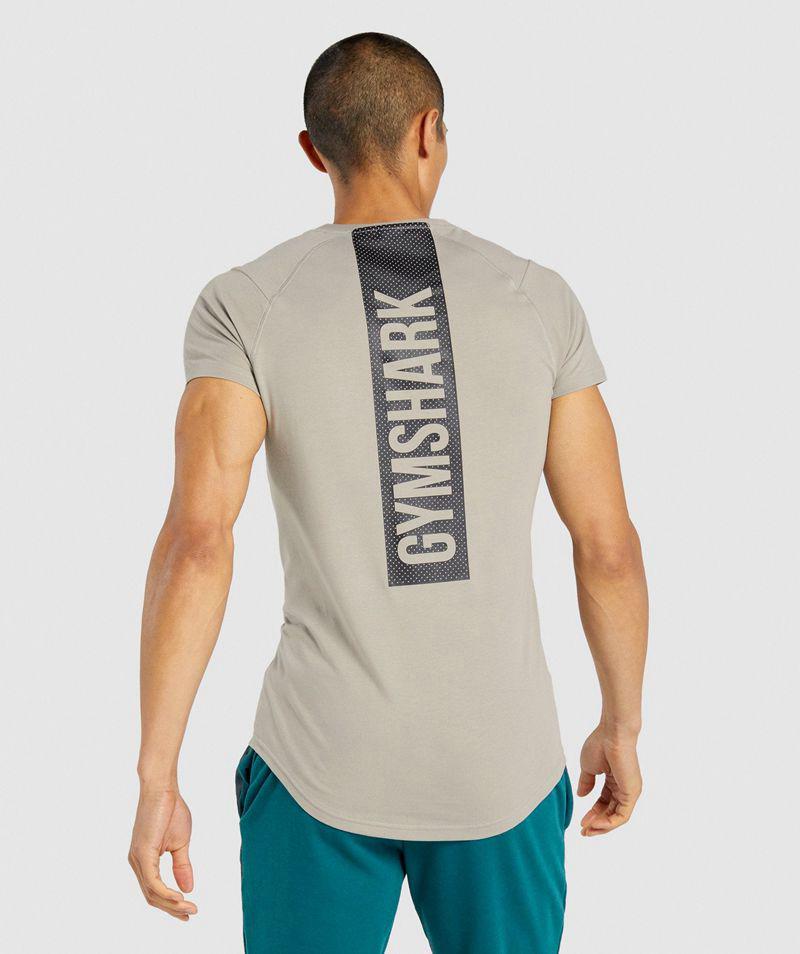 Gymshark Bold T-Shirts Férfi Szürke  Hungary |  VCKQB-5168