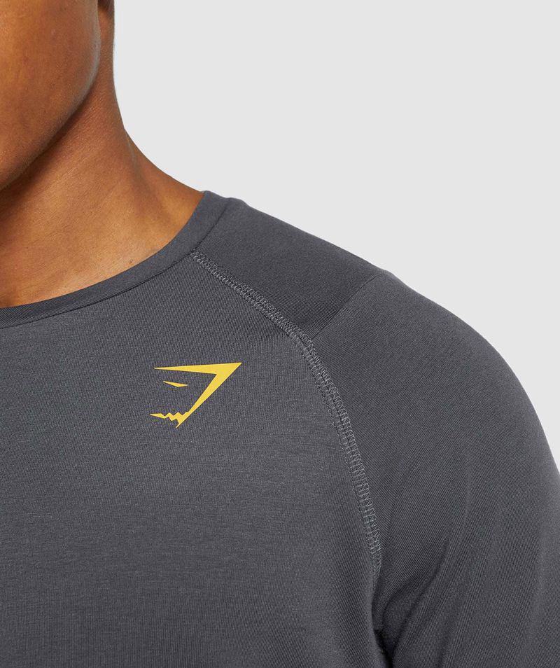 Gymshark Bold T-Shirts Férfi Szürke  Hungary |  ZWXDV-9763