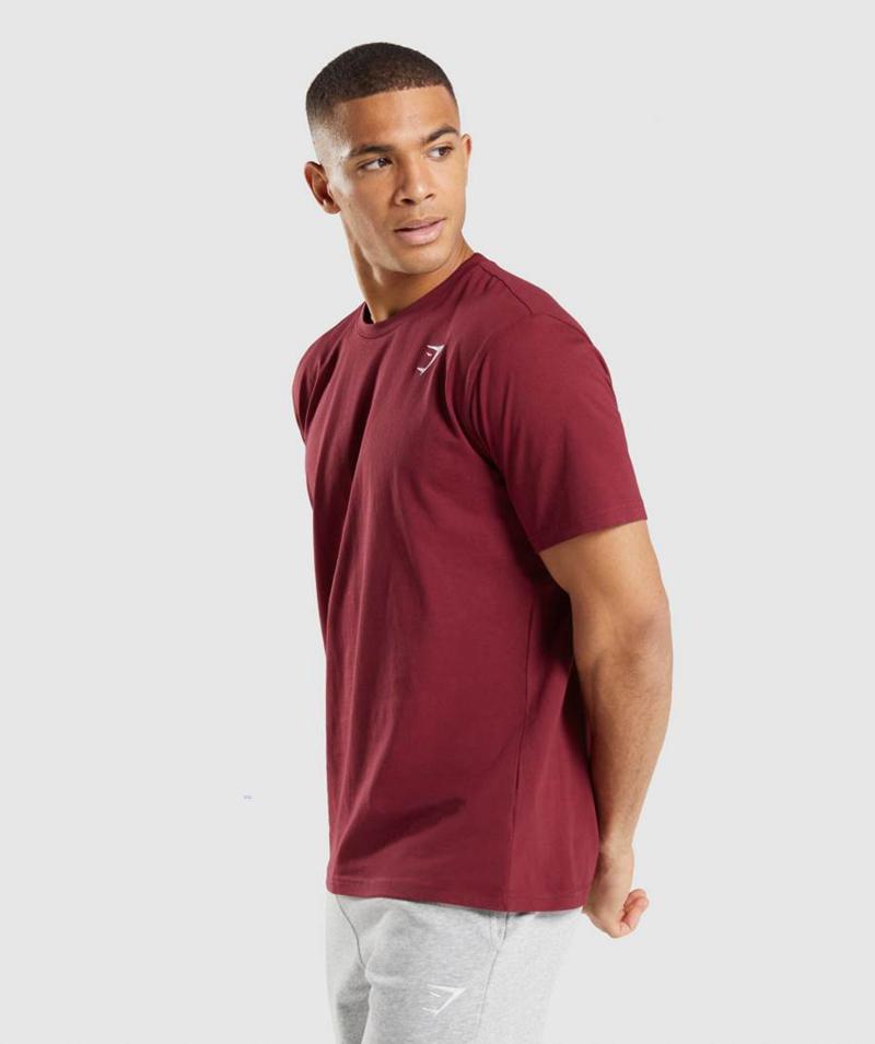 Gymshark Crest T-Shirts Férfi Bordó Piros  Hungary |  TWQDR-1425