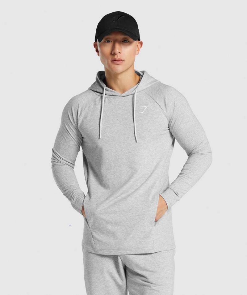 Gymshark Critical 2.0 Kapucnis Pulóver Férfi Világos Szürke  Hungary |  MYERI-9164