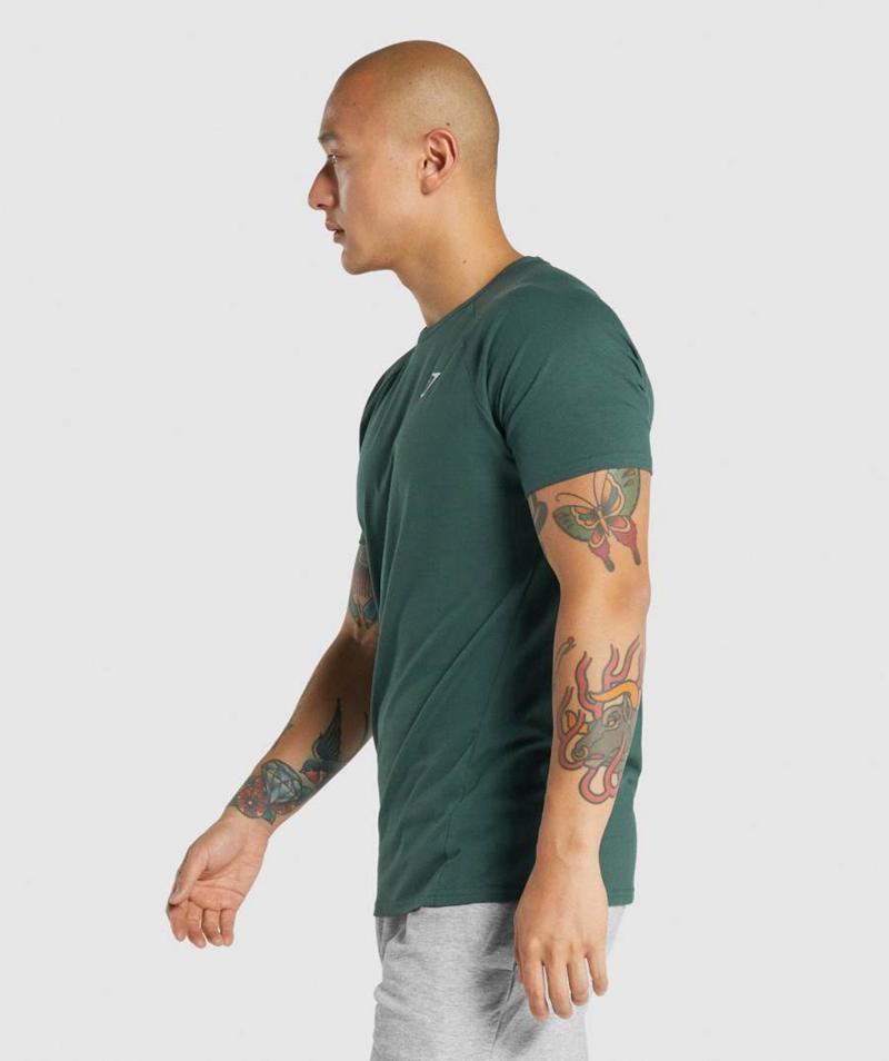 Gymshark Critical 2.0 T-Shirts Férfi Sötétzöld  Hungary |  CAODM-5948