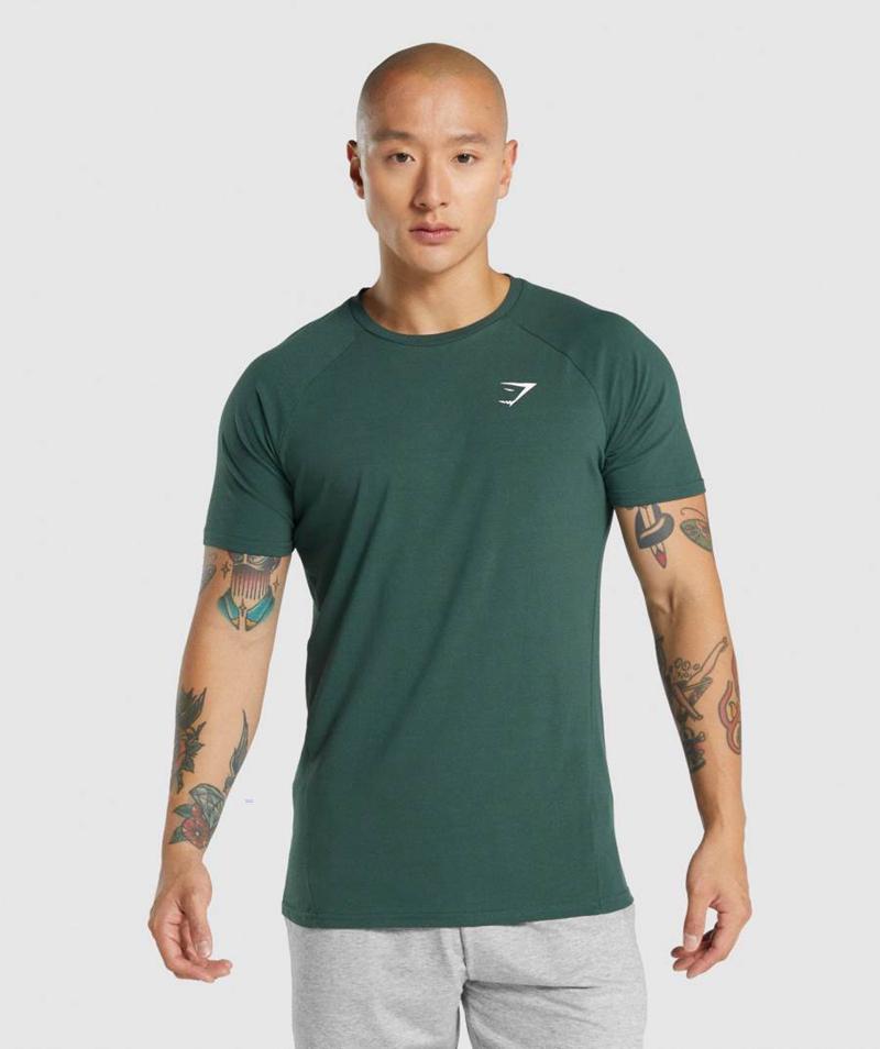 Gymshark Critical 2.0 T-Shirts Férfi Sötétzöld  Hungary |  CAODM-5948