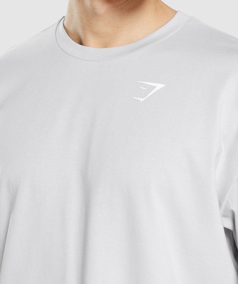 Gymshark Essential Oversized T-Shirts Férfi Világos Szürke  Hungary |  LENYX-0175