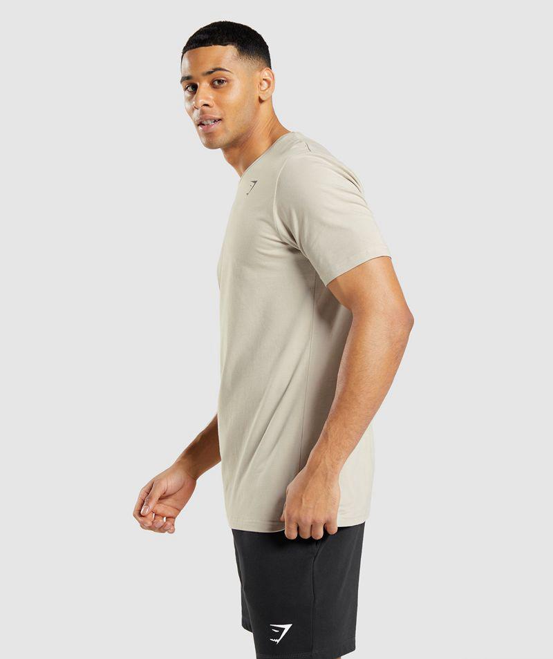 Gymshark Essential T-Shirts Férfi Szürke  Hungary |  IEXUQ-4571