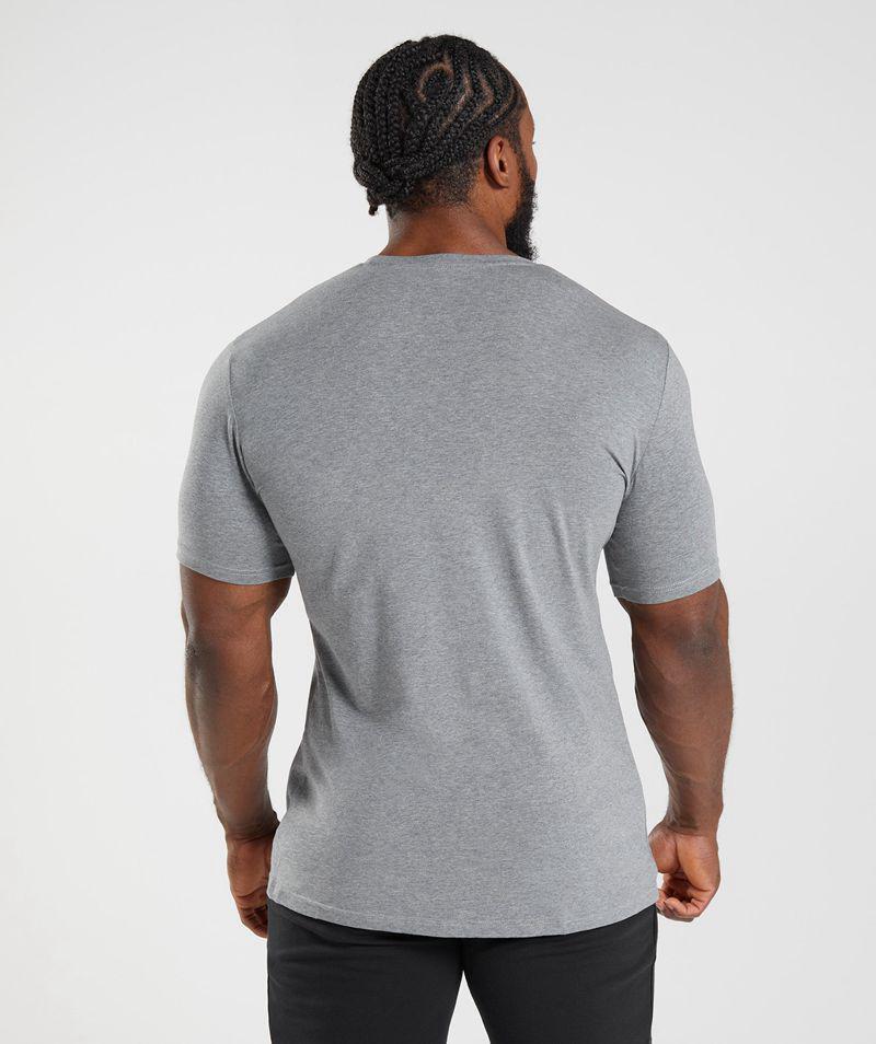 Gymshark Essential T-Shirts Férfi Szürke  Hungary |  RTPWM-5207