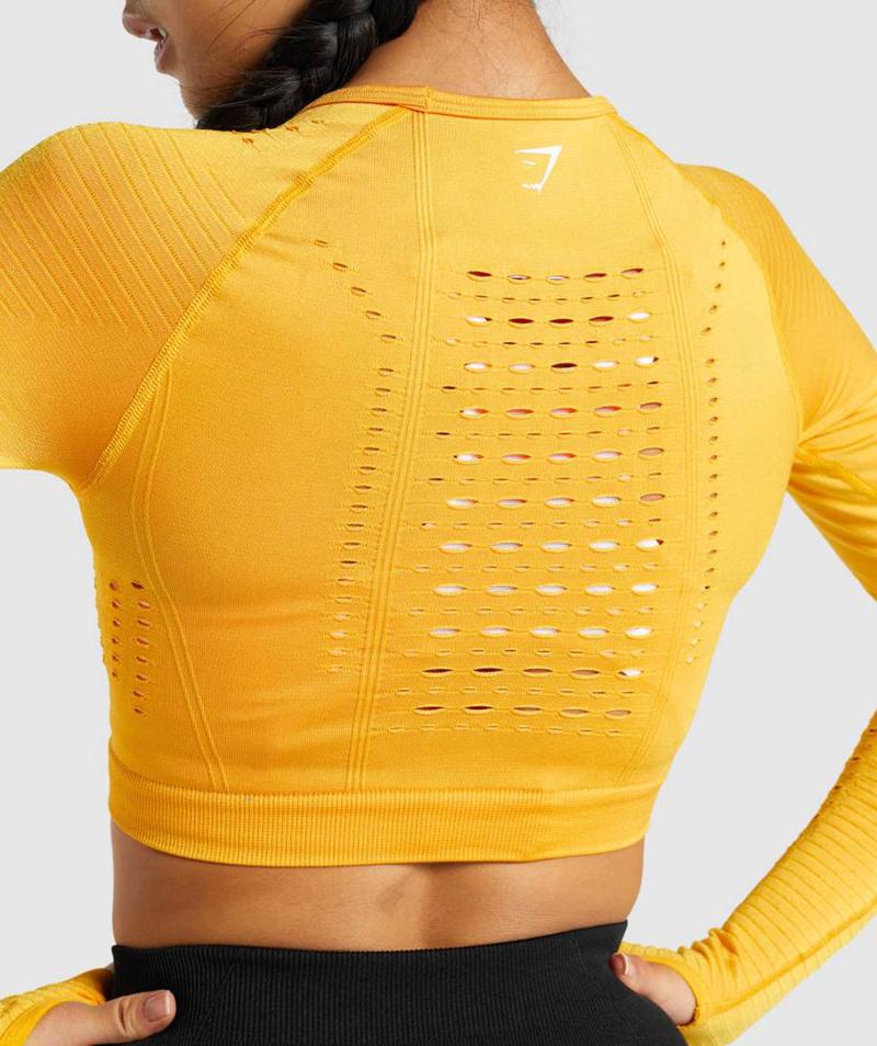 Gymshark Glow Long Sleeve Seamless Vágott Felsők Női Sárga  Hungary |  VPZMJ-0935