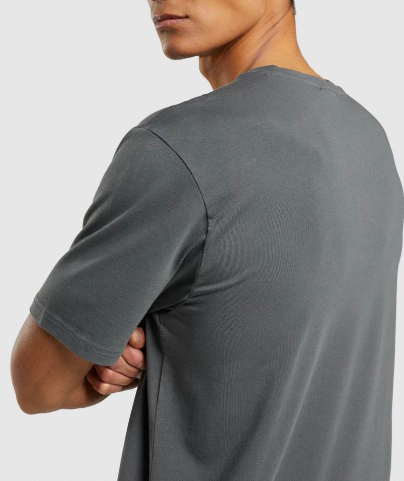 Gymshark Sharkhead Infill T-Shirts Férfi Mélyszürke  Hungary |  BMORP-4675