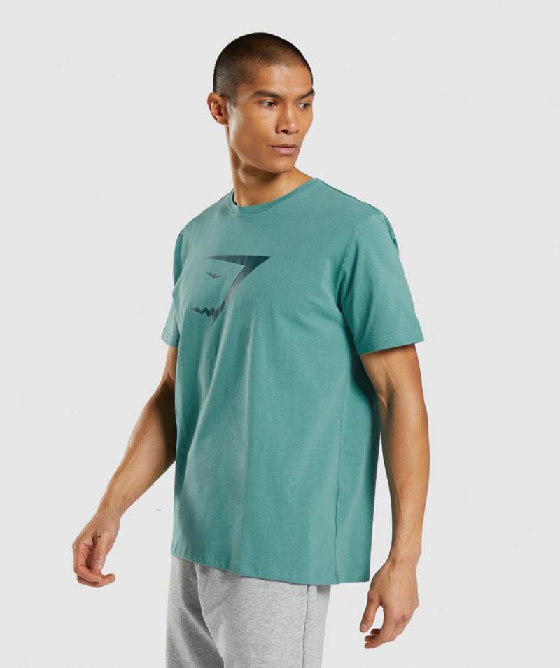 Gymshark Sharkhead Infill T-Shirts Férfi Türkiz  Hungary |  CJXPF-7516