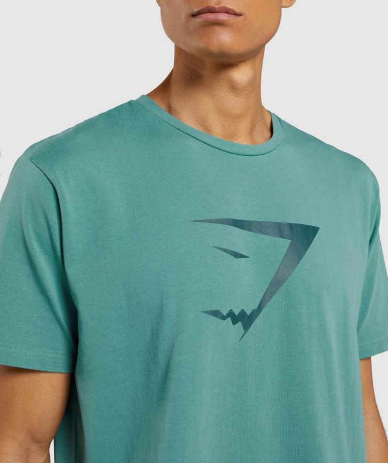 Gymshark Sharkhead Infill T-Shirts Férfi Türkiz  Hungary |  CJXPF-7516